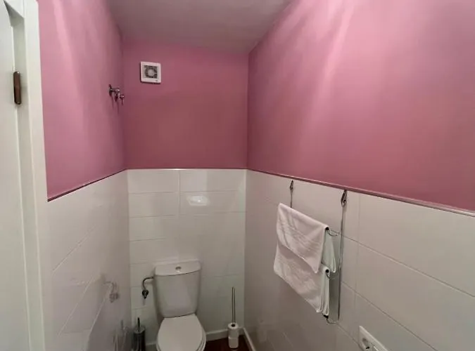 Orquidea Real Вильяблино